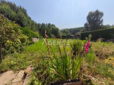 Annonce Vente 4 pices Maison Aire-sur-la-lys 62