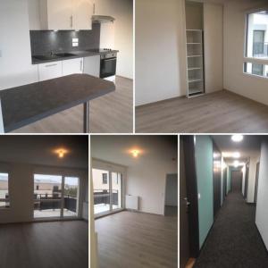 Annonce Location 3 pices Appartement Coudray 28