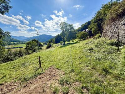 Annonce Vente Terrain Muhlbach-sur-munster 68