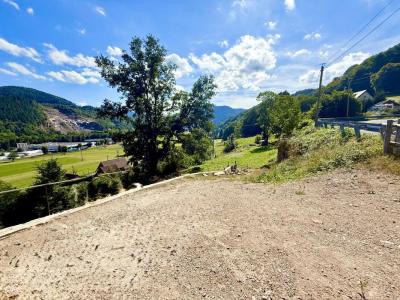 Acheter Terrain Muhlbach-sur-munster Haut rhin