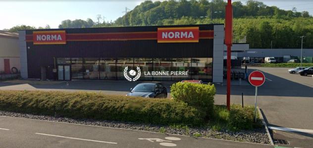 Acheter Local commercial 5779 m2 Hericourt
