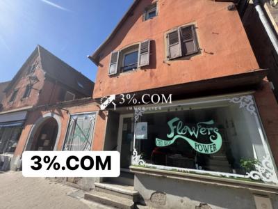 Annonce Vente Local commercial Hochfelden 67