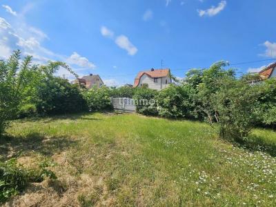 Annonce Vente 4 pices Maison Ensisheim 68