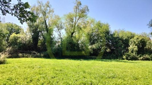 Annonce Vente Terrain Busigny 59
