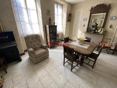 Acheter Maison Arcis-sur-aube 225000 euros