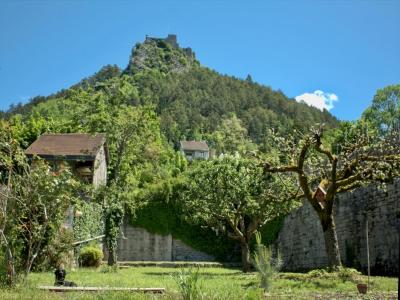 Annonce Vente 8 pices Appartement Salins-les-bains 39