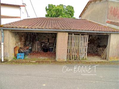 Annonce Vente 7 pices Maison Vallet 44