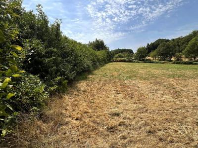 For sale Coquille 6755 m2 Dordogne (24450) photo 2