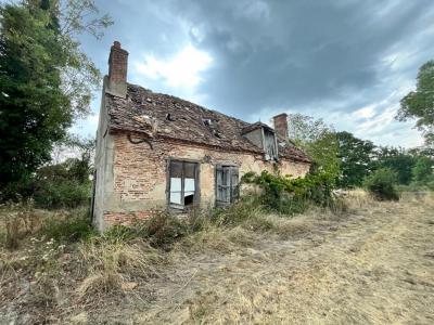 Acheter Terrain 15000 m2 Yzeure