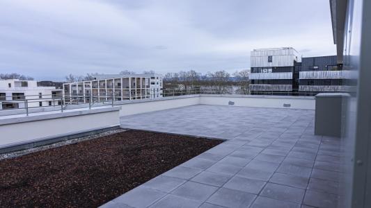 For rent Illkirch-graffenstaden 3 rooms 65 m2 Bas rhin (67400) photo 1