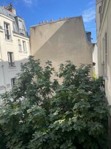 Acheter Appartement Paris-17eme-arrondissement 318000 euros