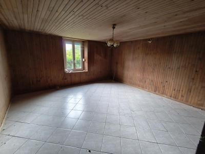 Acheter Maison 200 m2 Aillevillers-et-lyaumont
