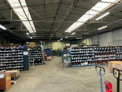 Annonce Location Commerce Bordeaux 33