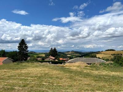 For sale Violay 1033 m2 Loire (42780) photo 0