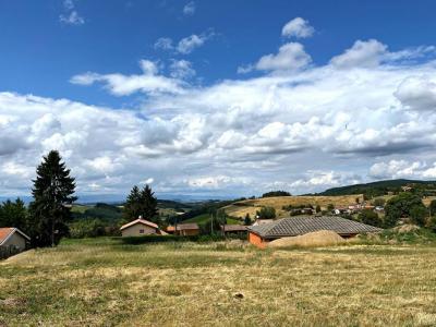 Annonce Vente Terrain Violay 42