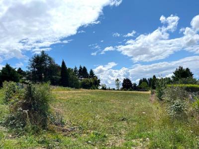 Annonce Vente Terrain Violay 42