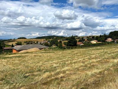 Annonce Vente Terrain Violay 42