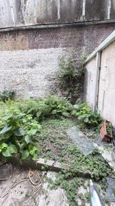 Annonce Vente Maison Roubaix 59