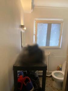 Acheter Appartement Montpellier Herault