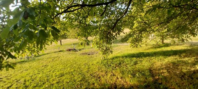 For sale Val-d'ajol 262 m2 Vosges (88340) photo 2