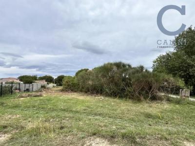 Acheter Terrain 524 m2 Saint-genies-de-malgoires