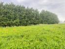 For sale Land Favieres 2213 m2