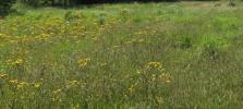 For sale Land Guipavas  940 m2