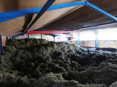 For sale Saint 1 m2 Morbihan (56110) photo 3