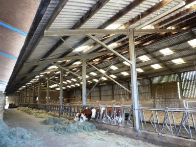 For sale Saint 1 m2 Morbihan (56110) photo 4