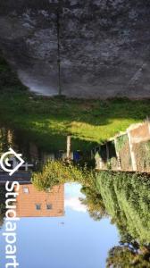 Louer Appartement Tourcoing 430 euros