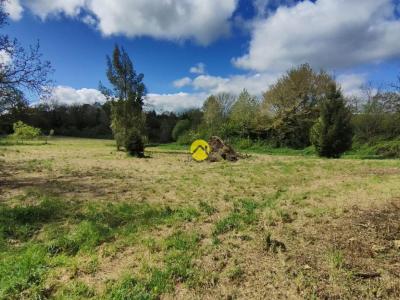 For sale Crevant 5 rooms 187 m2 Indre (36140) photo 3