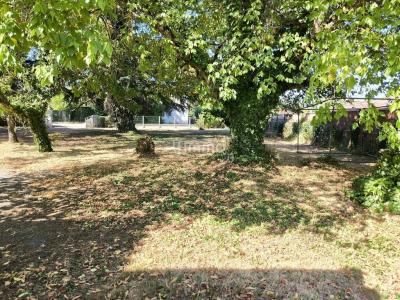 Annonce Vente Terrain Vayres 33