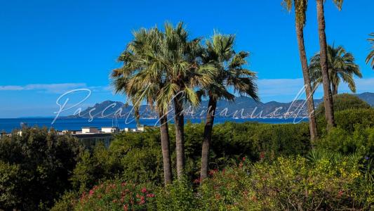 Annonce Vente 2 pices Appartement Cannes 06