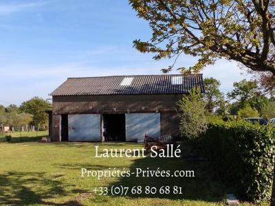 Annonce Vente Terrain Larre 56