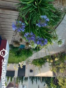 For rent Pessac 1 room 13 m2 Gironde (33600) photo 3