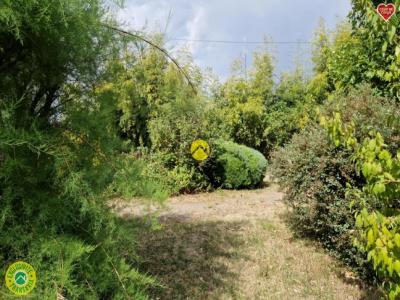 Annonce Vente 5 pices Maison Augy-sur-aubois 18