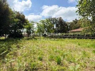 Annonce Vente Terrain Moliets-et-maa 40
