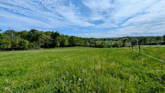 Acheter Maison Villeneuve-sur-lot Lot et garonne