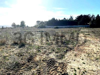 Annonce Vente Terrain Lespignan 34