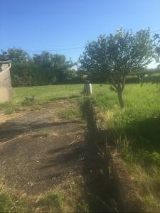For sale Belesta-en-lauragais Haute garonne (31540) photo 2
