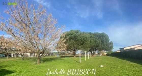 Annonce Vente Terrain Berson 33