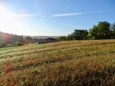 Annonce Vente Terrain Isle-jourdain 32