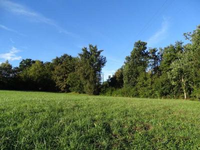 Annonce Vente Terrain Cazaux-saves 32