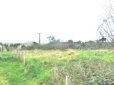 Annonce Vente 7 pices Maison Arces 17