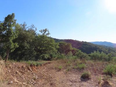 Acheter Terrain Collobrieres Var