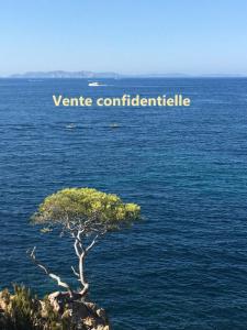 For sale Toulon 10 rooms Var (83000) photo 0