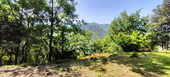 Annonce Vente Terrain Vigan 30