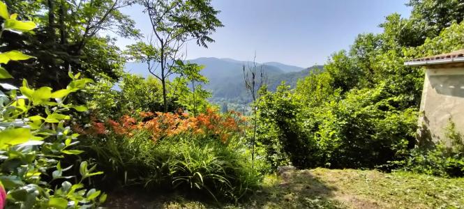 Acheter Terrain Vigan 75000 euros