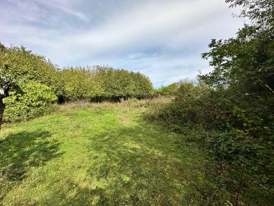 Annonce Vente Terrain Souppes-sur-loing 77