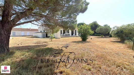 Annonce Vente 8 pices Maison Peyriac-minervois 11